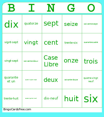 Tegan French Bingo Card