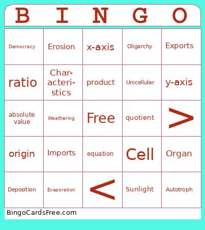 Test Fest 1 Bingo