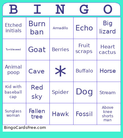 Testing Bingo Card
