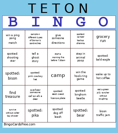 TETON Bingo Card