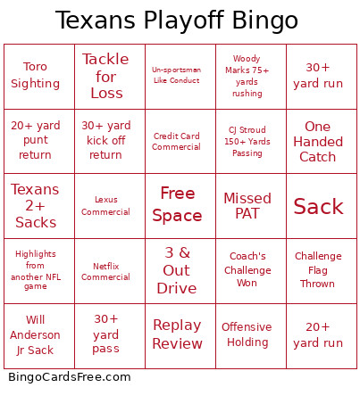 Texans Playoff Bingo Card