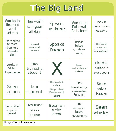 The Big Land Bingo Card
