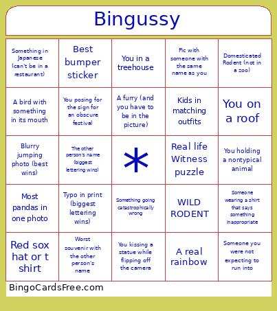 The Bingo Card