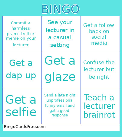 The Lecturer Bingo Card