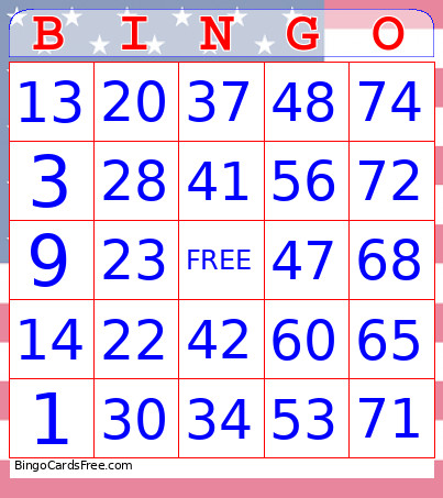 The Patriotic 75: Flag Day Edition Bingo Card