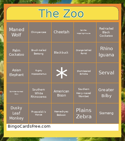 The Zoo (ft. Adelaide Zoo & Monarto) Bingo Card