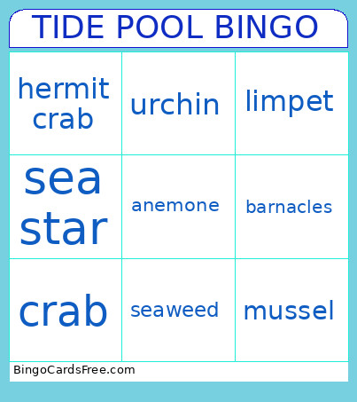 TIDE POOL Bingo Card