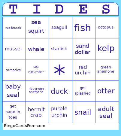 Tide Pooling! Bingo Card