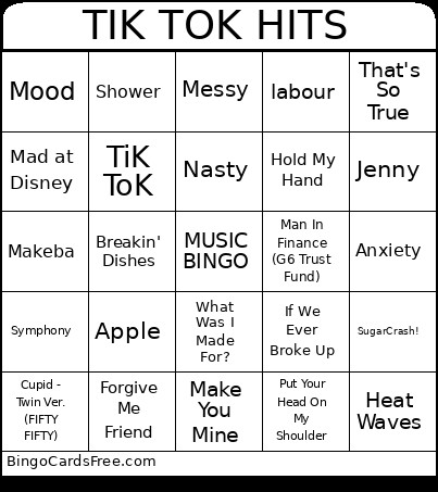 TIK TOK HITS Bingo Card