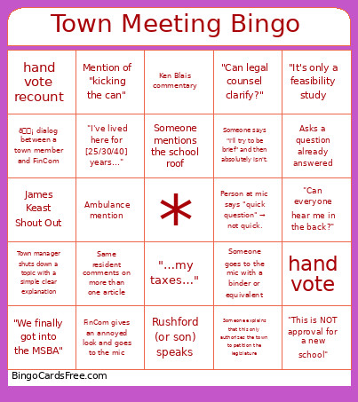 Town Meeting Bingo Card