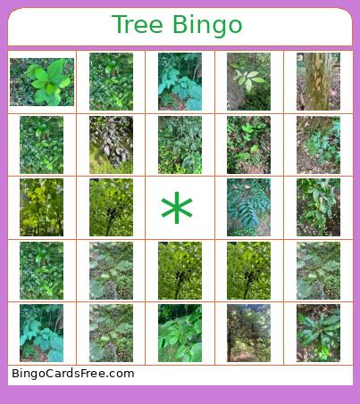 Tree Bingo