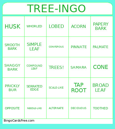 TREE-INGO Bingo Card