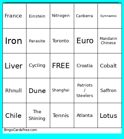 TRIVIA VER4 Bingo Card