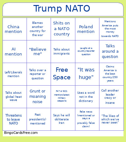 Trump NATO Bingo Card