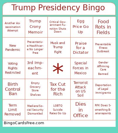 Trump Presidency Bingo