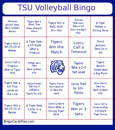 TSU Volleyball Bingo Card
