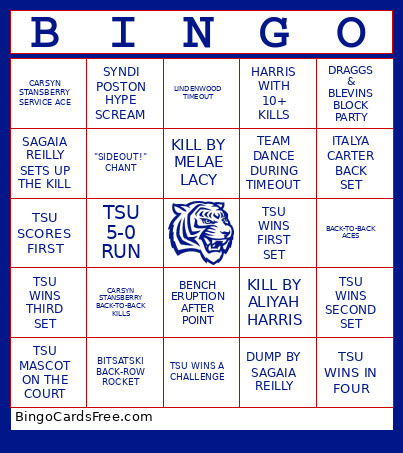 TSU VOolleyball Bingo Card