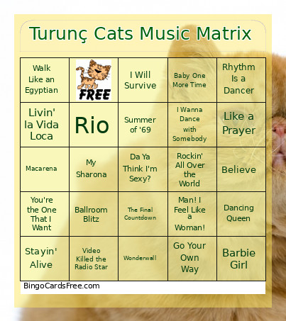 Turunç Cats Music Matrix Bingo Card