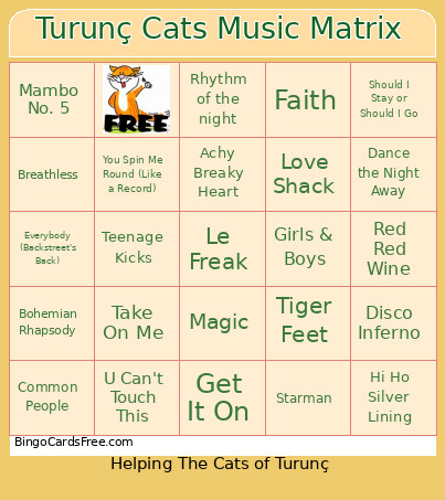 Turunç Cats Music Matrix Bingo Card
