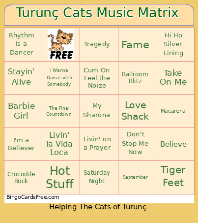 Turunç Cats Music Matrix Bingo Card
