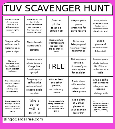 TUV SCAVENGER HUNT Bingo Card