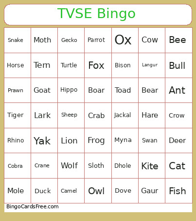 TVSE Bingo Card