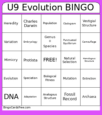 U9 Evolution Bingo Card