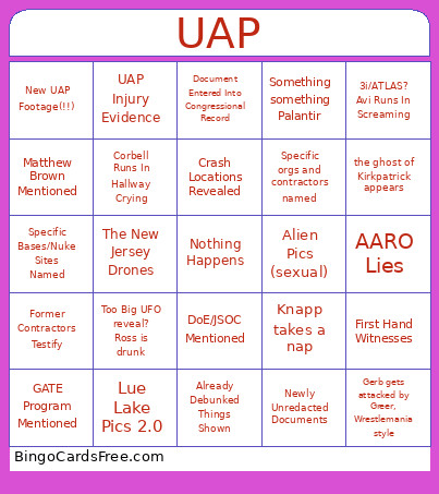 UAP Hearing 2.0 Bingo Card