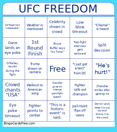 UFC Dom 250 Bingo Card 2