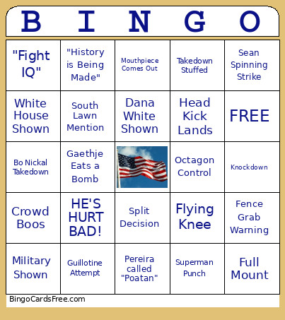 UFC Dom 250 Bingo Card