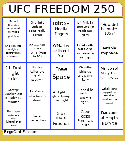 UFC DOM 250 Bingo Card