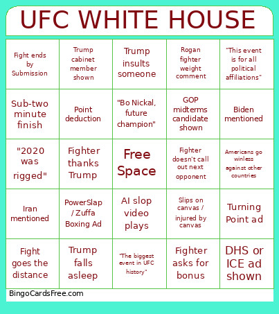UFC White House Bingo Card
