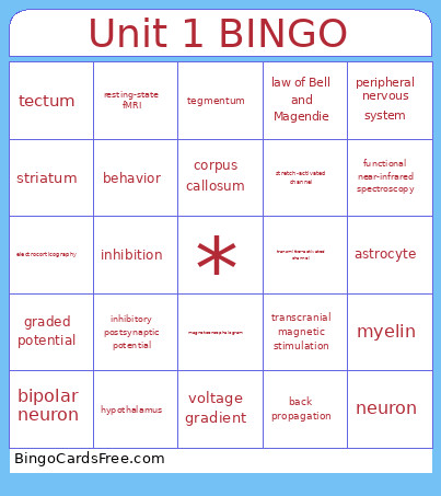 Unit 1 Bingo Card