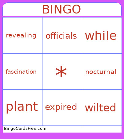 Unit 3 Vocabulary Bingo Card