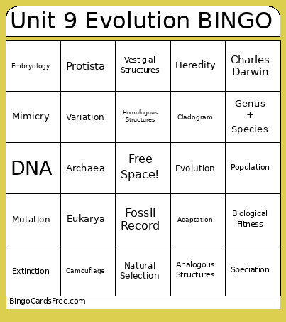 Unit 9 Evolution Bingo Card