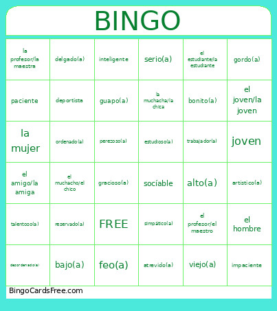 UNIT PE-A NOUN/ADJ AGREEMENT Bingo Card