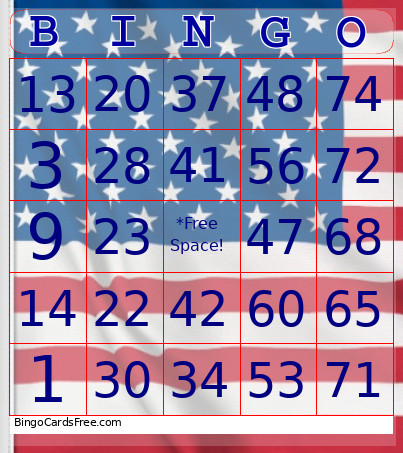 USA 1-75 Number + Audio Bingo Card