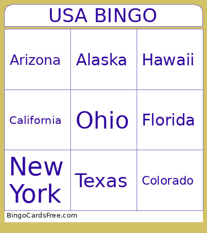 USA Bingo Card 2