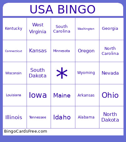 USA Bingo Card