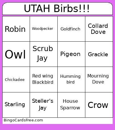 UTAH Birbs!!! Bingo