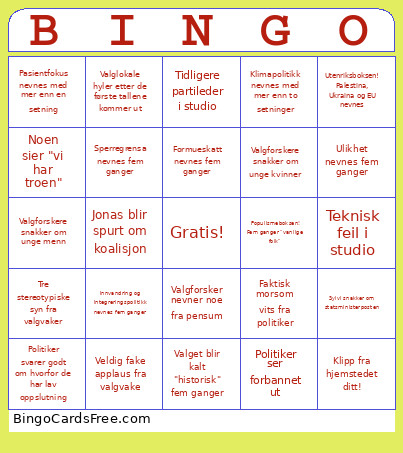 Valgnatt 2025 Bingo Card