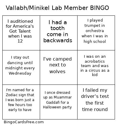 V/M Bingo Cards Free Pdf Printable Game, Title: Vallabh/Minikel Lab Member BINGO