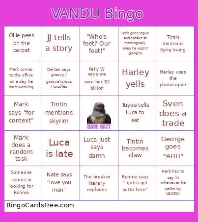 VANDU Bingo Card