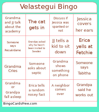 Velastegui Bingo Card