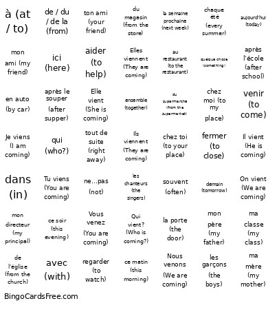 Venir Bingo Card