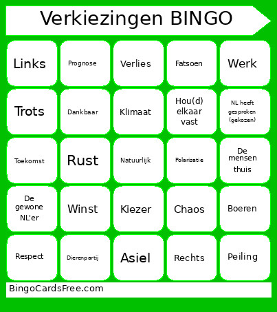 Verkiezingen Bingo Card