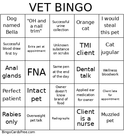 VET Bingo Card