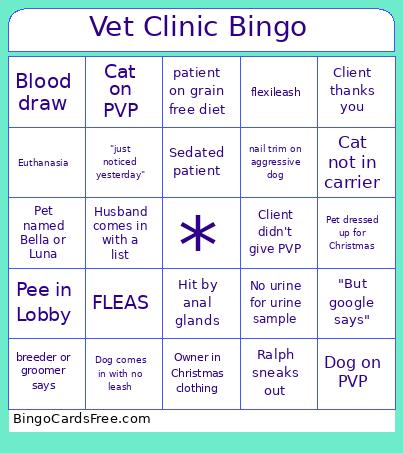 Vet Clinic Bingo