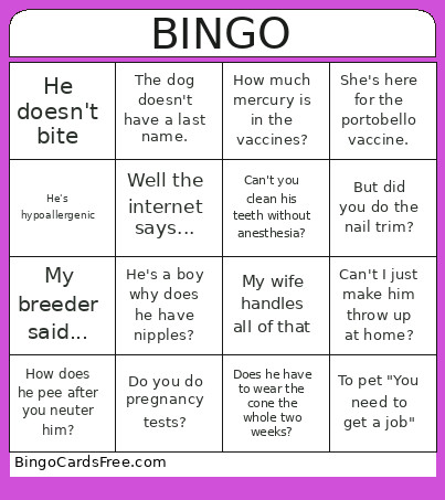 VET MED Bingo Card