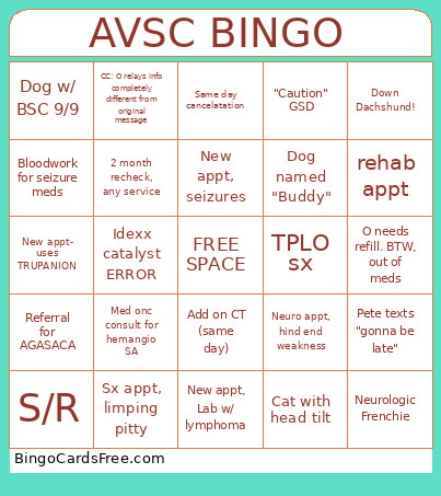 Vet Med Bingo Card